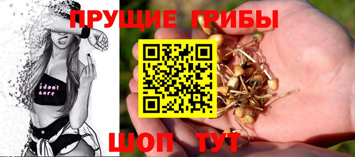 Галлюциногенные грибы Psilocybe  Вход с VPN  Выборг 